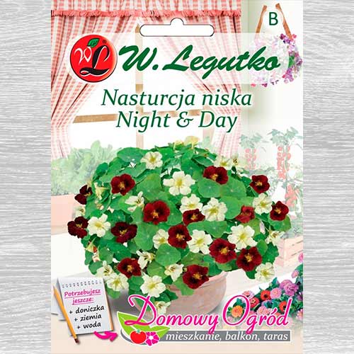 1 szt, Nasturcja niska Night & Day Legutko - Nasiona: Ilość w opakowaniu: 5 g