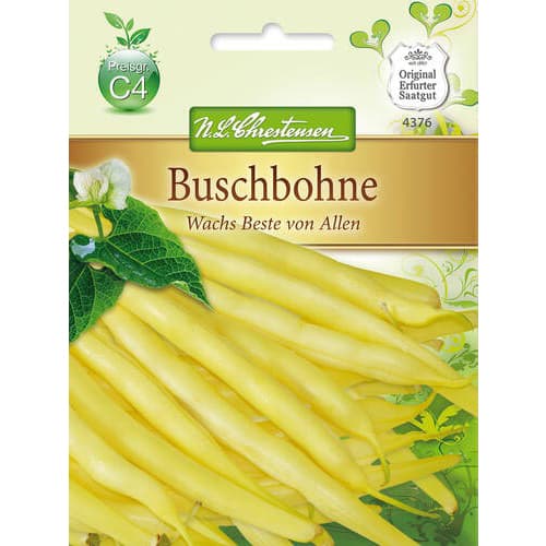 Fasola Wachs Beste von Allen - Nasiona. Ilość w opakowaniu: 1 opak - GradinaMax