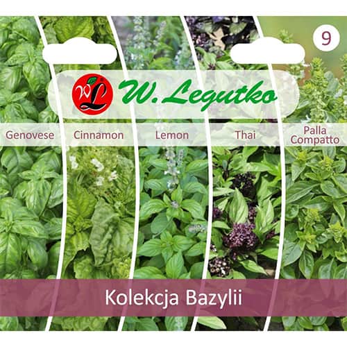 1 szt, Kolekcja Bazylii, 5 odmian - Nasiona: Ilość w opakowaniu: 1 opak