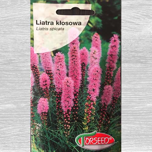 1 szt, Liatra kłosowa, mieszanka - Nasiona: Ilość w opakowaniu: 0.2 g
