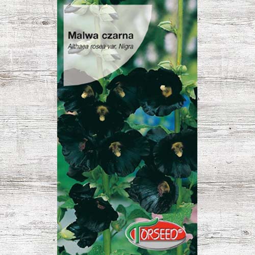 1 szt, Malwa czarna, nasiona - Nasiona: Ilość w opakowaniu: 1 g