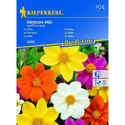 Dalia Mignon, mix - Nasiona. Ilość w opakowaniu: 1 opak - GradinaMax