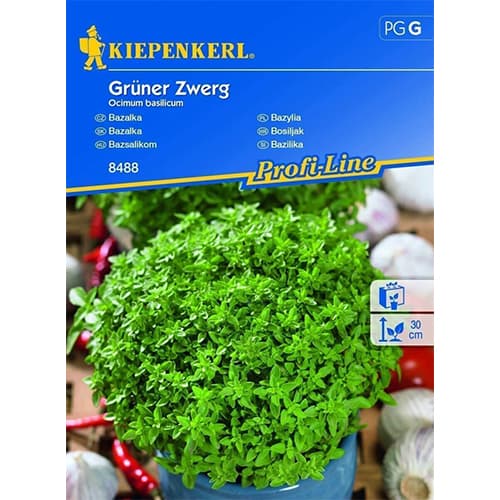 1 szt, Bazylia Gruner Zwerg - Nasiona: Ilość w opakowaniu: 500 szt.