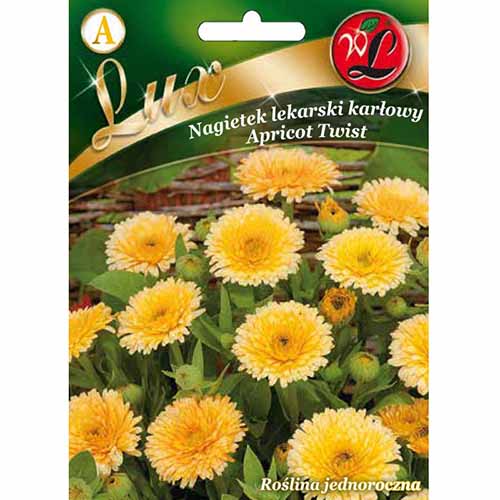 1 szt, Nagietek lekarski Apricot Twist Legutko - Nasiona: Ilość w opakowaniu: 2 g