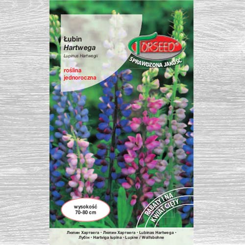 1 szt, Łubin letni Hartwega, mieszanka - Nasiona: Ilość w opakowaniu: 5 g