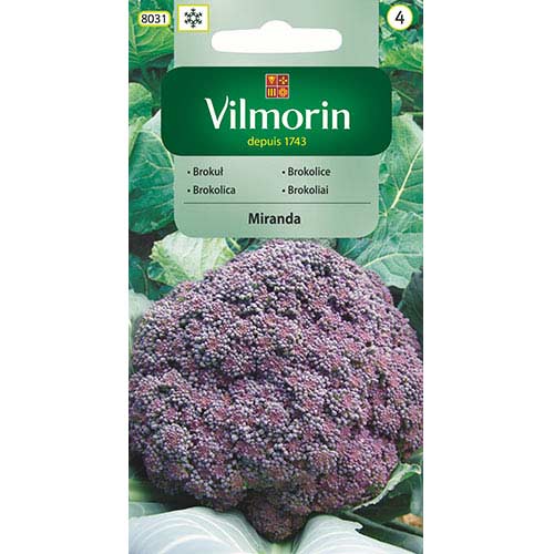 1 szt, Brokuł Miranda fioletowy Vilmorin - Nasiona: Ilość w opakowaniu: 2 g