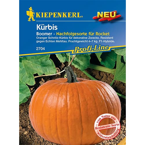 Dynia Boomer F1 - Nasiona. Ilość w opakowaniu: 1 opak - GradinaMax
