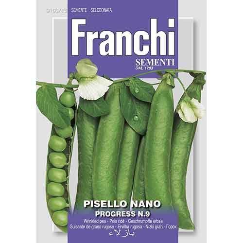 1 szt, Groch siewny łuskowy Progress N.9 Morami - Nasiona: Ilość w opakowaniu: 250 g