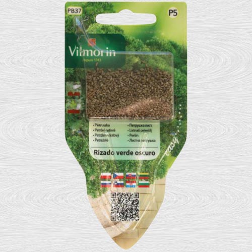 1 szt, Pietruszka Rizado verde oscuro - Nasiona: Ilość w opakowaniu: 5 g