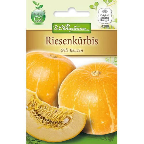 Dynia Gele Reuzen - Nasiona: Ilość w opakowaniu: 1 opak - GradinaMax