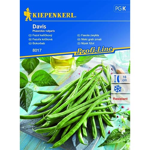 Fasola szparagowa Davis - Nasiona, 1 opak - GradinaMax
