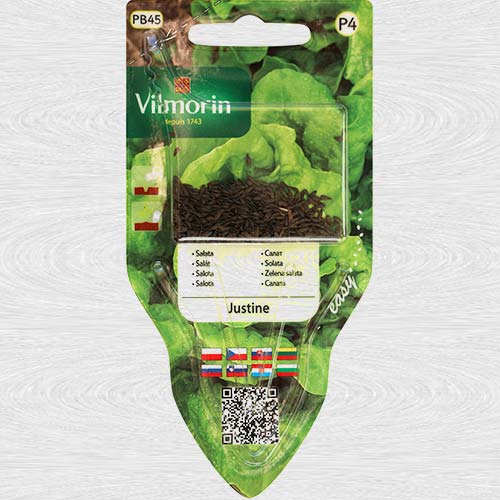 1 szt, Sałata Justine - Nasiona: Ilość w opakowaniu: 0.5 g