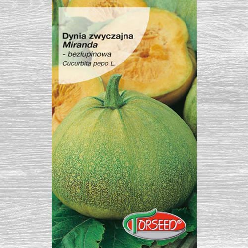 1 szt, Dynia zwyczajna Miranda - Nasiona: Ilość w opakowaniu: 3 g