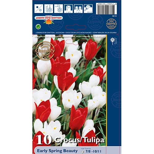 Super oferta! Tulipan, Krokus Early Spring Beauty, zestaw 10 cebul - Cebule: Ilość w opakowaniu: 10 szt.
