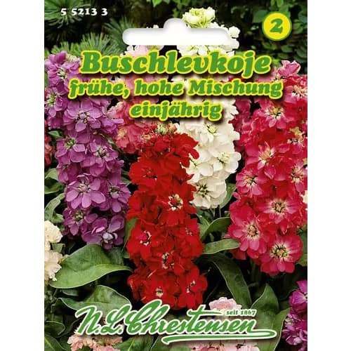 Lewkonia letnia wysoka, mix - Nasiona. Ilość w opakowaniu: 1 opak - GradinaMax