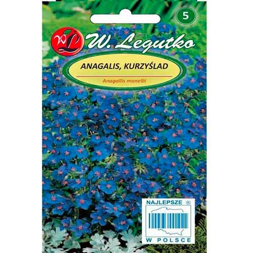 1 szt, Kurzyślad (Anagalis) niebieski - Nasiona: Ilość w opakowaniu: 0.1 g