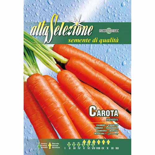 1 szt, Marchew Nantes Morami - Nasiona: Ilość w opakowaniu: 8 g