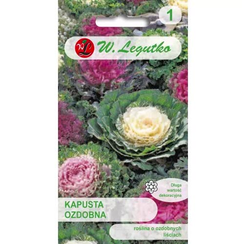 1 szt, Kapusta ozdobna, mix - Nasiona: Ilość w opakowaniu: 0.5 g