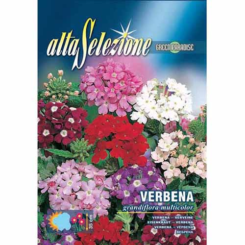 1 szt, Werbena ogrodowa, mieszanka kolorów Morami - Nasiona: Ilość w opakowaniu: 0.5 g