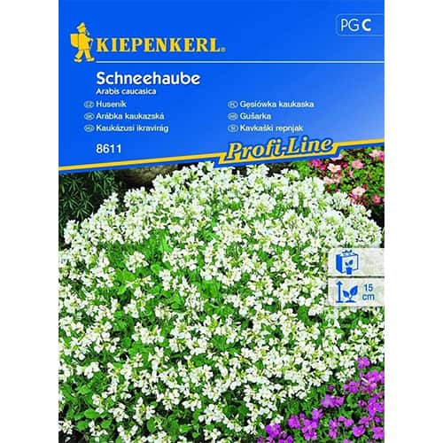 Gęsiówka kaukaska - Nasiona. Ilość w opakowaniu: 1 opak - GradinaMax