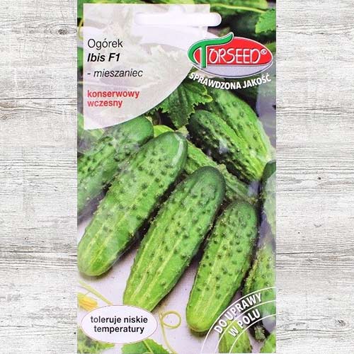 1 szt, Ogórek Ibis F1 - Nasiona: Ilość w opakowaniu: 3 g