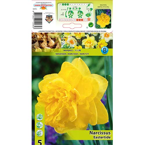 Narcyz pełny Eastertide - Cebule: Ilość w opakowaniu: 5 szt. - GradinaMax