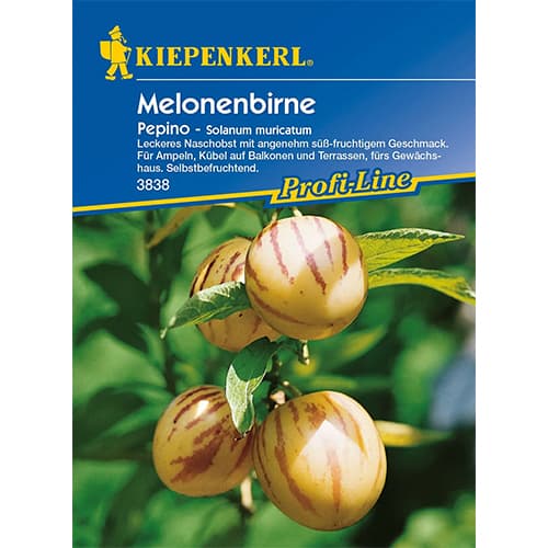 Pepino (Psianka melonowa) - Nasiona: Ilość w opakowaniu: 1 opak - GradinaMax