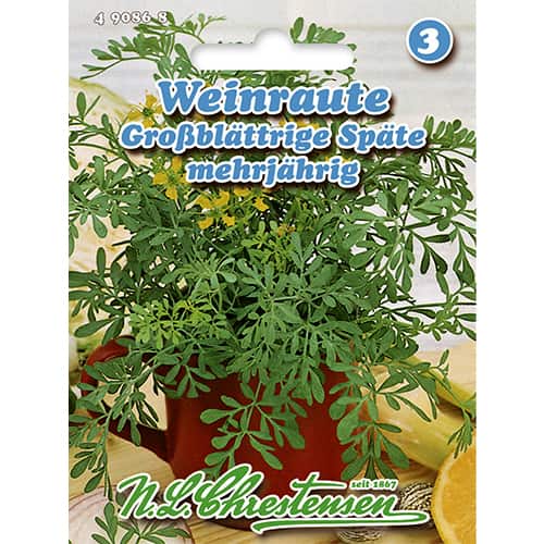Ruta zwyczajna (Ruta graveolens) - Nasiona. Ilość w opakowaniu: 1 opak - GradinaMax