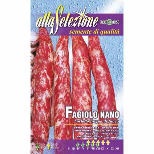 1 szt, Fasola szparagowa Borlotto lingua di fuoco Morami - Nasiona: Ilość w opakowaniu: 250 g