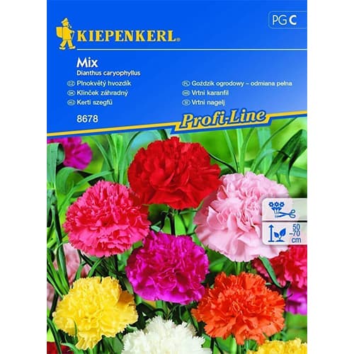 Goździk ogrodowy, mix - Nasiona. Ilość w opakowaniu: 1 opak - GradinaMax