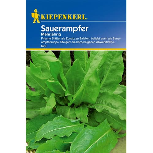 Szczaw zwyczajny - Nasiona: Ilość w opakowaniu: 1 opak - GradinaMax
