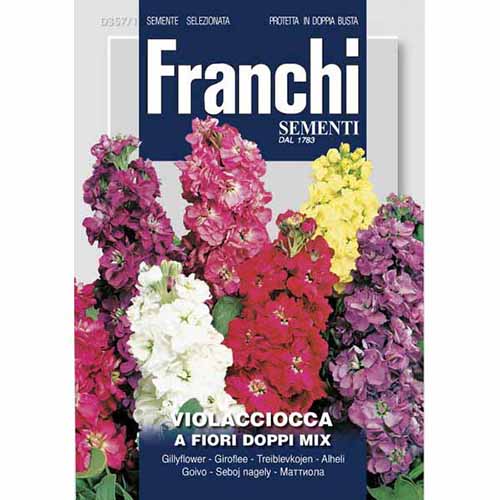 1 szt, Lewkonia letnia pełna, mieszanka kolorów Morami - Nasiona: Ilość w opakowaniu: 0.6 g