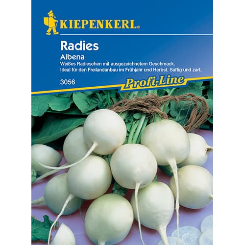 Rzodkiewka Albena - Nasiona. Ilość w opakowaniu: 1 opak - GradinaMax