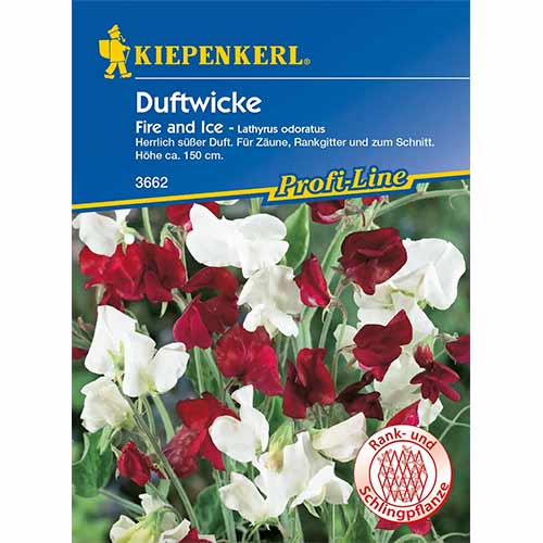 Groszek pachnący Fire and Ice - Nasiona. Ilość w opakowaniu: 1 opak - GradinaMax