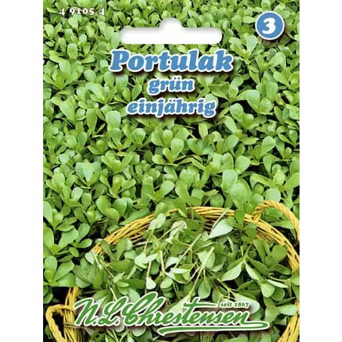 Portulaka warzywna - Nasiona. Ilość w opakowaniu: 1 opak - GradinaMax