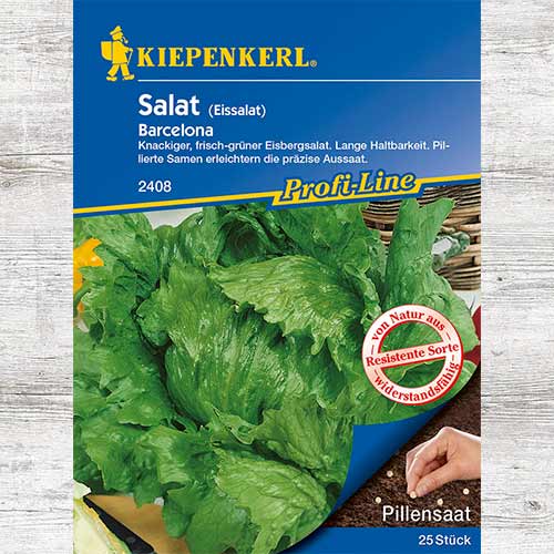 1 szt, Sałata dębolistna Barcelona - Nasiona: Ilość w opakowaniu: 1 opak