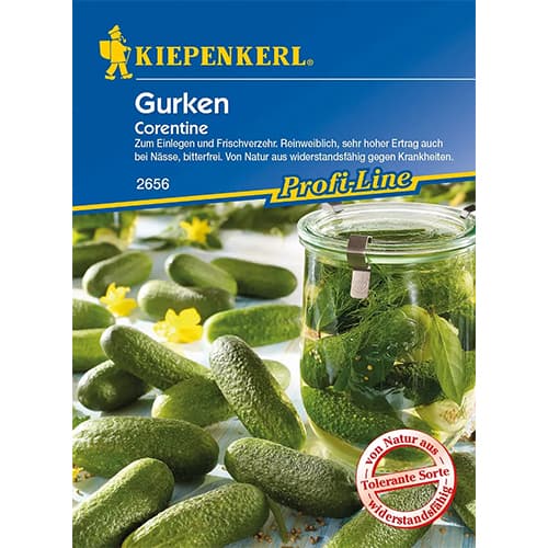 Ogórek gruntowy konserwowy Corentine F1 - Nasiona. Ilość w opakowaniu: 1 opak - GradinaMax