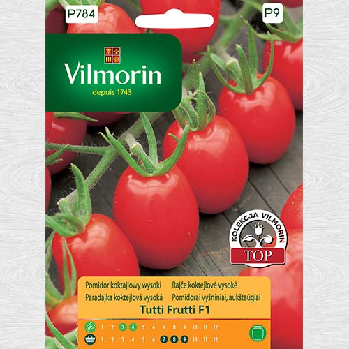 1 szt, Pomidor koktajlowy wysoki Tutti Frutti F1 - Nasiona: Ilość w opakowaniu: 7 szt