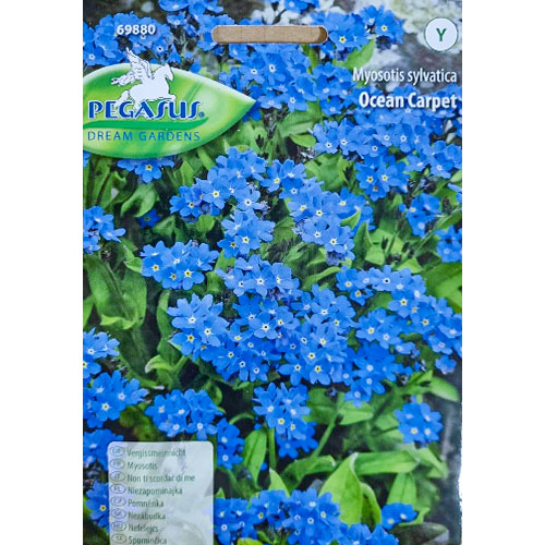 1 szt, Niezapominajka Ocean Carpet - Nasiona: Ilość w opakowaniu: 1 opak