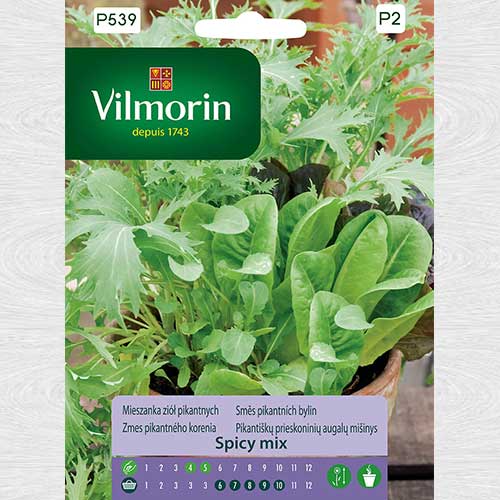 1 szt, Mieszanka ziół pikantnych Spicy mix - Nasiona: Ilość w opakowaniu: 2 g