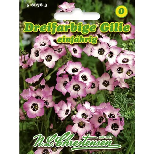 Gilia tricolor - Nasiona. Ilość w opakowaniu: 1 opak - GradinaMax