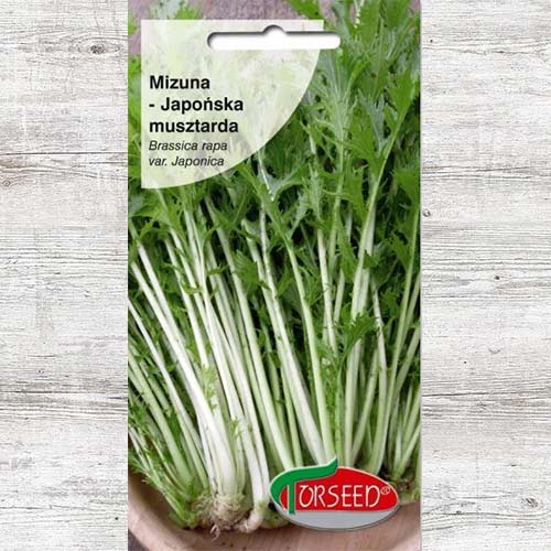 1 szt, Mizuna zielona - Nasiona: Ilość w opakowaniu: 2 g