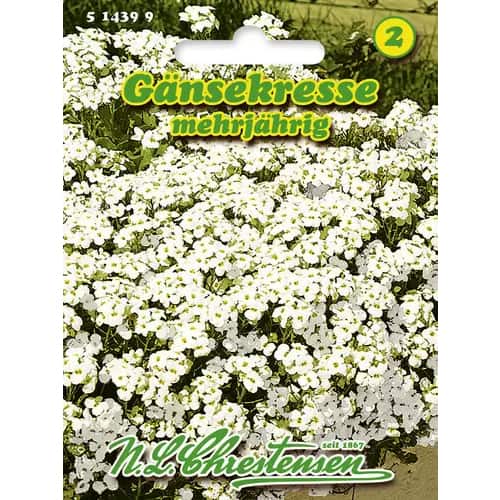 Gęsiówka kaukaska (Arabis caucasica) - Nasiona. Ilość w opakowaniu: 1 opak - GradinaMax