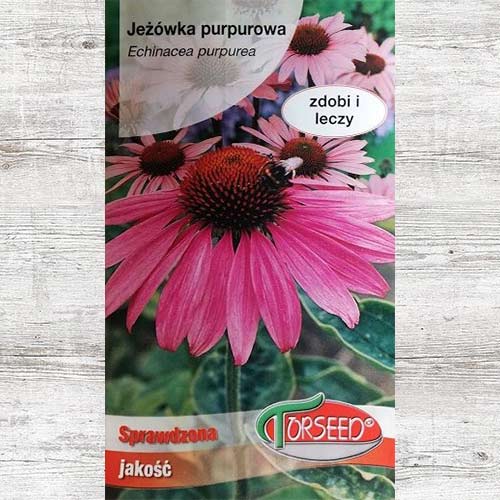 1 szt, Jeżówka purpurowa, nasiona - Nasiona: Ilość w opakowaniu: 0.2 g