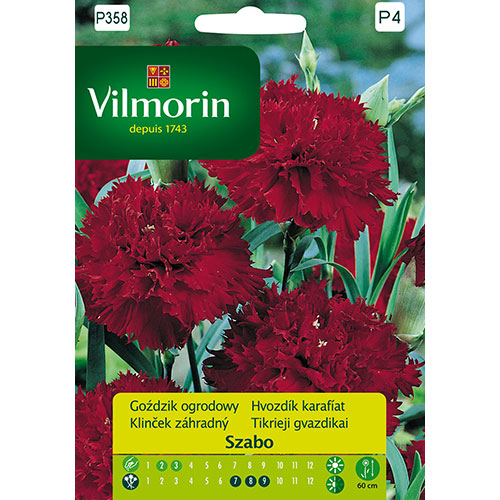1 szt, Goździk ogrodowy Szabo Picotte Vilmorin - Nasiona: Ilość w opakowaniu: 0.5 g