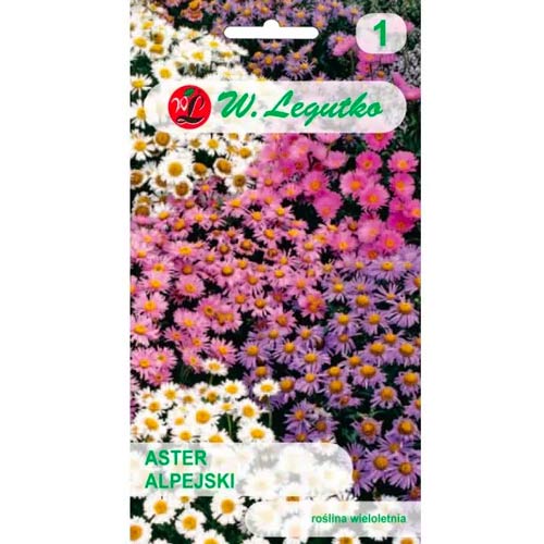 1 szt, Aster alpejski, mix kolorow - Nasiona: Ilość w opakowaniu: 0.3 g