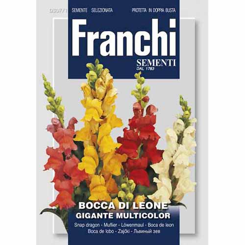 1 szt, Wyżlin większy (Lwia paszcza), mieszanka kolorów Morami - Nasiona: Ilość w opakowaniu: 2 g