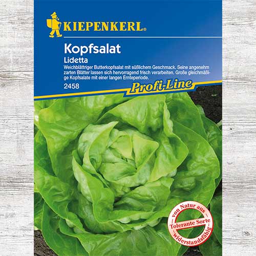 1 szt, Sałata głowiasta Lidetta - Nasiona: Ilość w opakowaniu: 1 opak