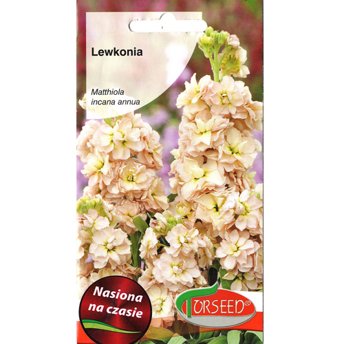 1 szt, Lewkonia letnia Excelsior pomarańczowa - Nasiona: Ilość w opakowaniu: 0.5 g