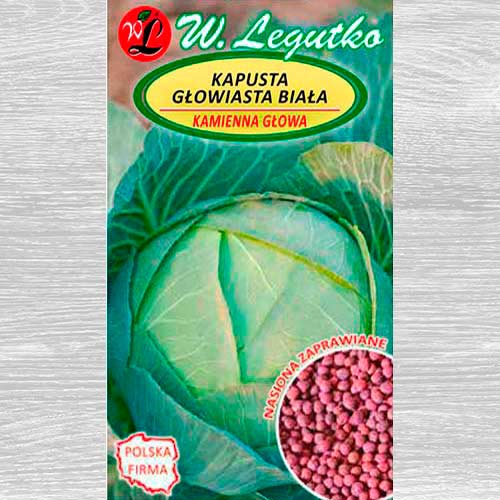 1 szt, Kapusta głowiasta biała Kamienna Głowa - Nasiona: Ilość w opakowaniu: 100 szt
